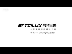 Lampe à bande LED flexible avec barre de silicium séparée